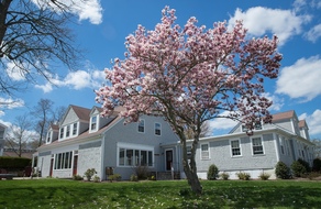 Tabor_2