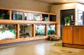 plumpton_2 plumpton_2