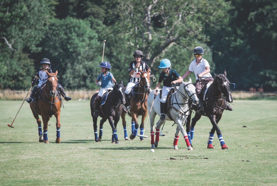 weston_polo weston_polo